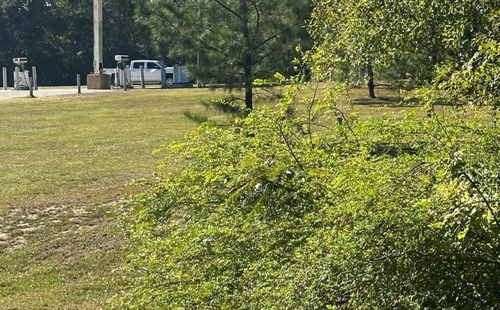 Pictures of Land property located at Co Rd 29, Evergreen, AL 36401 for sales - image #1