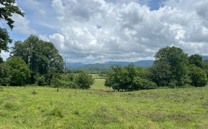Pictures of Land property located at 3480 Airport Rd, Marble, NC 28905 for sales - image #1