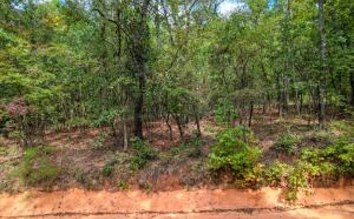 Pictures of Land property located at 0 Centerwood Road, Williston, SC 29853 for sales - image #1