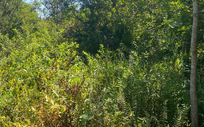 Pictures of Land property located at SW 23rd Avenue Rd, Marion Oaks, FL 34473 for sales - image #1