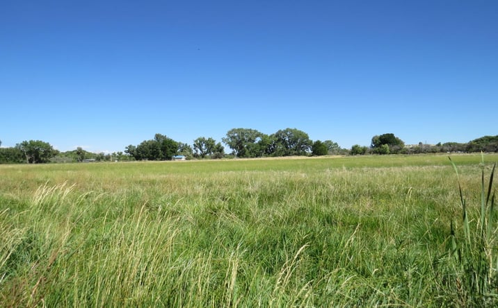 Pictures of Land property located at XXX ROAD 3009, Aztec, NM 87410 for sales - image #1