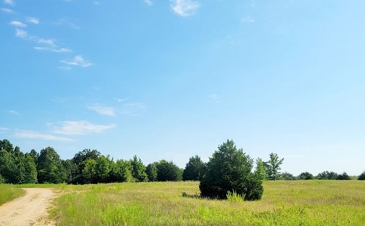 Pictures of Land property located at Sec 22 state Highway 160 East, Doniphan, MO 63935 for sales - image #1