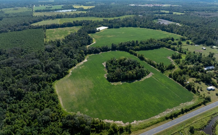 Pictures of Land property located at SW Lake Baisden Loop, Jasper, FL 32052 for sales - image #1