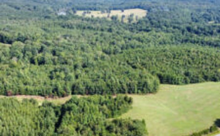 Pictures of Land property located at Wilkinsville Highway, Gaffney, SC 29340 for sales - image #1