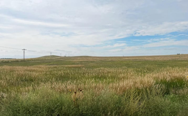 Pictures of Land property located at Cheyenne County CRP  N, Potter, NE 69156 for sales - image #1