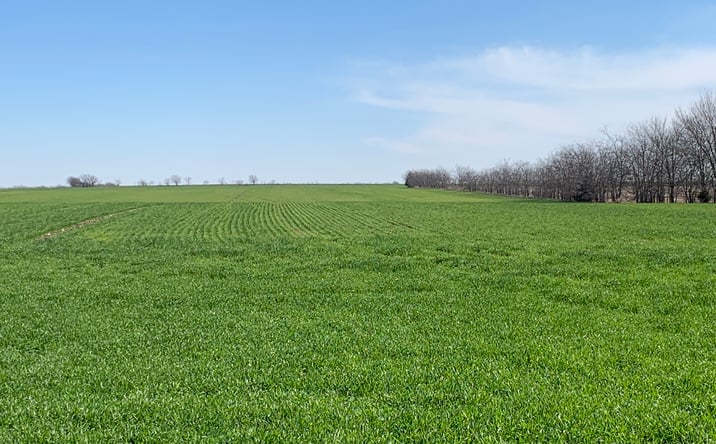 Pictures of Land property located at Boren Rd, Collinsville, TX 76233 for sales - image #1