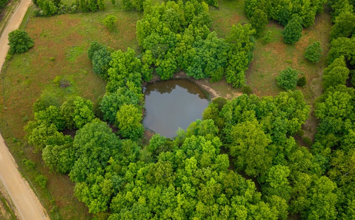 Pictures of Land property located at 0742 County Road 302, Alton, MO 65606 for sales - image #1