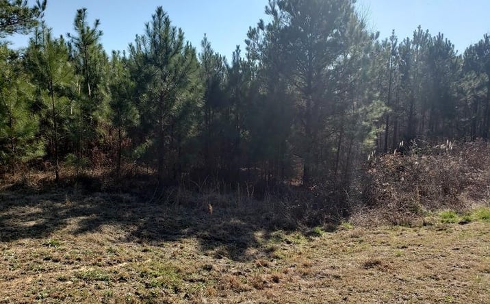Pictures of Land property located at 0 Stillwater Lane, Double Springs, AL 35553 for sales - image #1