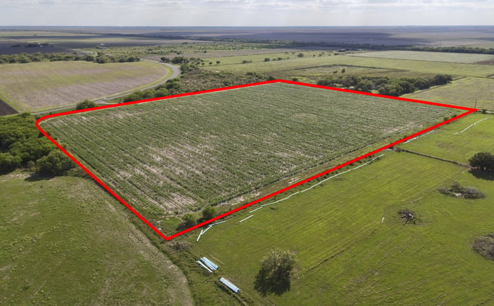 Pictures of Land property located at Fm 2556 Cantu Road, Santa Rosa, TX 78593 for sales - image #1