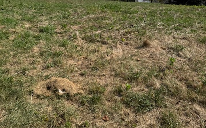 Pictures of Land property located at 0 McGovern, Washington, PA 15301 for sales - image #1