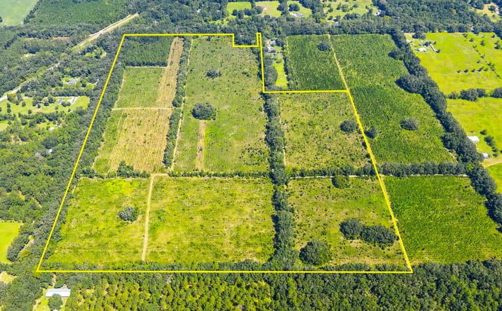 Pictures of Land property located at NW 62nd Ave and Co Rd 235, Newberry, FL 32669 for sales - image #1
