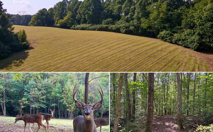 Pictures of Land property located at Wolf Hill Road #(Tract 7 Wolf Hill), McArthur, OH 45651 for sales - image #1