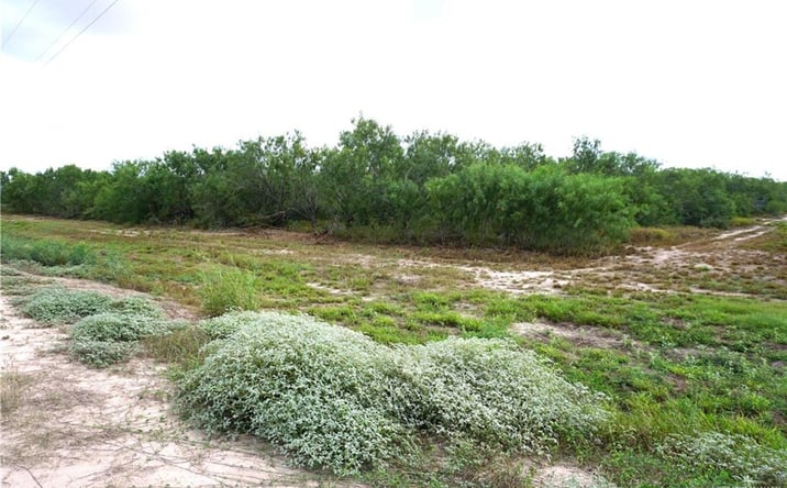 Pictures of Land property located at 3/4 W FM 2812, Edinburg, TX 78541 for sales - image #1