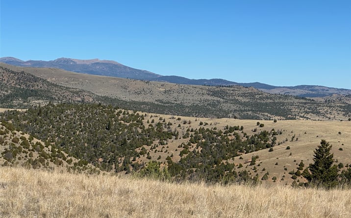 Pictures of Land property located at 33 Deerfoot Trail Lot 138 of SM 1, Ennis, MT 59729 for sales - image #1