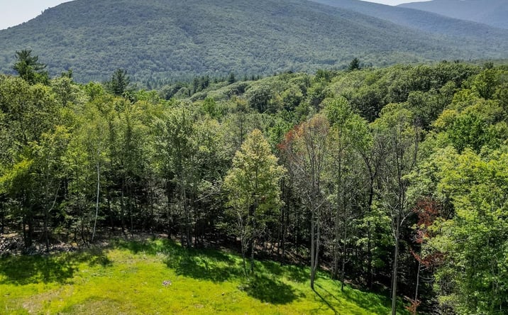 Pictures of Land property located at 61 Hillside Drive, Olive, NY 12494 for sales - image #1