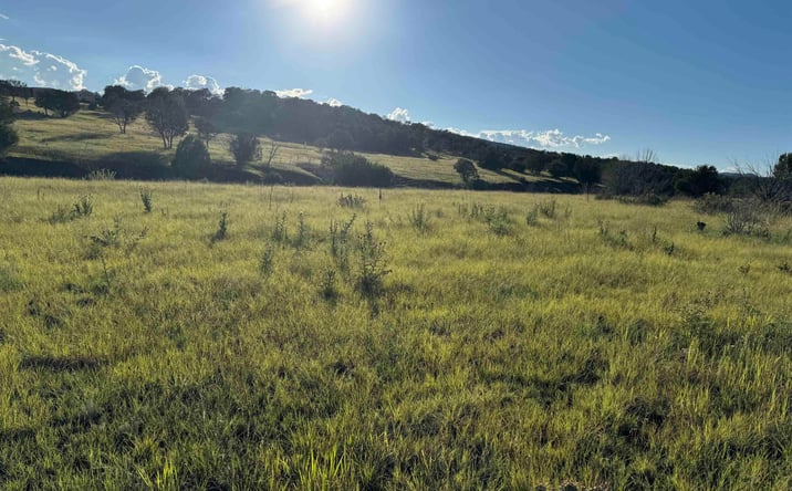 Pictures of Land property located at 665 Us Highway 380 Highway, Capitan, NM 88316 for sales - image #1