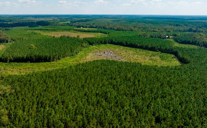 Pictures of Land property located at Newington Hwy & Hudson Ferry Rd, Newington, GA 30446 for sales - image #1