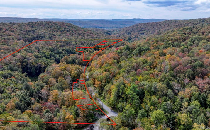 Pictures of Land property located at Grooville Road, Rockland, NY 12758 for sales - image #1
