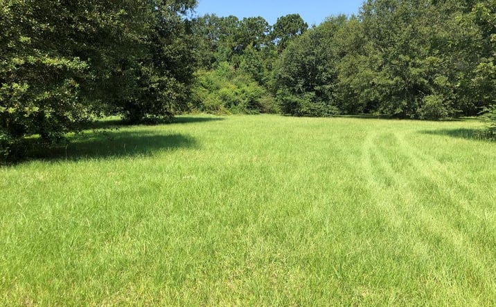 Pictures of Land, Special Purpose property located at 6871 Highway 11 North, Carriere, MS 39426 for sales - image #1