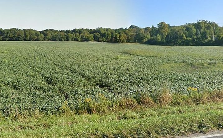 Pictures of Land property located at 69636 Co Rd 384, South Haven, MI 49090 for sales - image #1