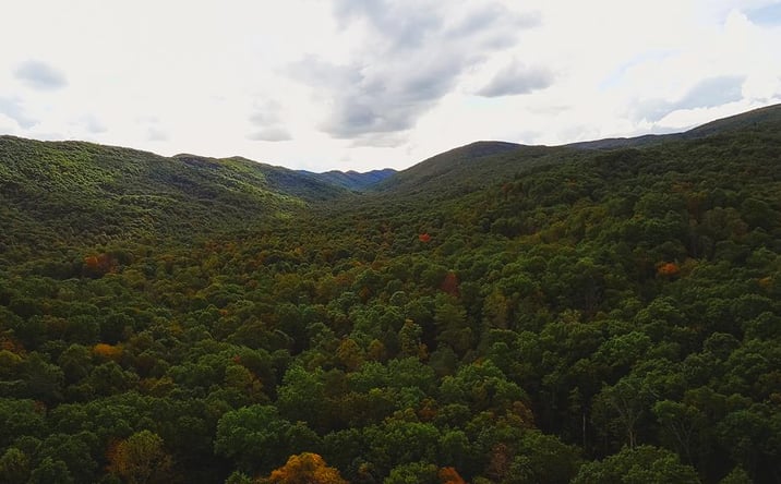 Pictures of Land, Multifamily property located at Lot 88 Nye Valley Rd - Cove Creek, Bastian, VA 24314 for sales - image #1