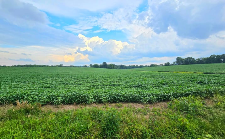 Pictures of Land property located at 3 County Road 26, Marengo, OH 43334 for sales - image #1