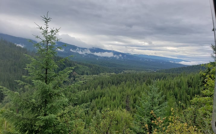 Pictures of Land property located at Lot 17 Nine Mile Road, Huson, MT 59846 for sales - image #1