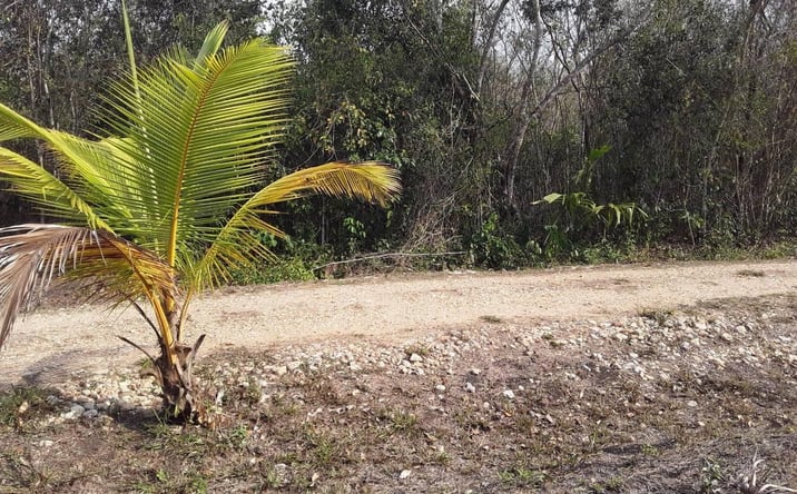 Pictures of Land property located at Belize Picturesque 5 Acres, Belize, Belize 00000 for sales - image #1