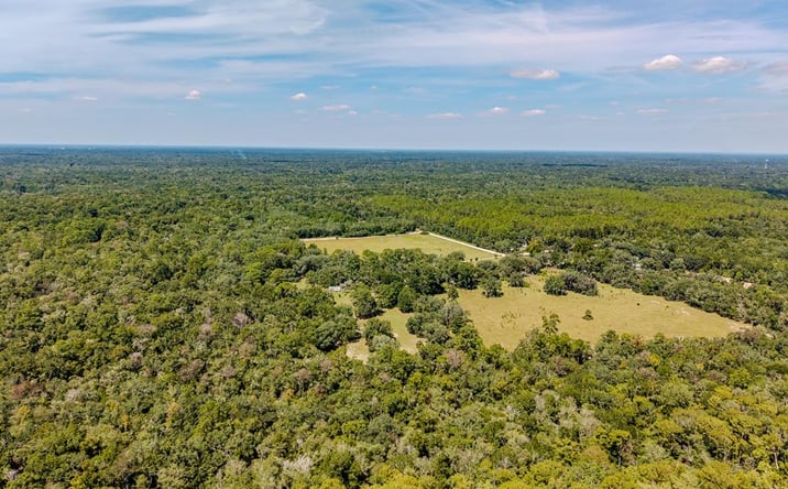 Pictures of Land property located at 480 NE 242 Ave, Old Town, FL 32680 for sales - image #1
