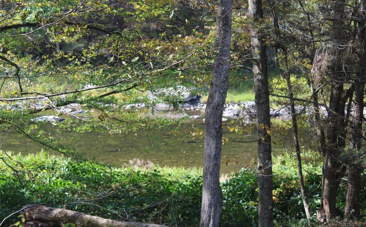 Pictures of Land, Special Purpose property located at Peakville Road, Hancock, NY 13783 for sales - image #1