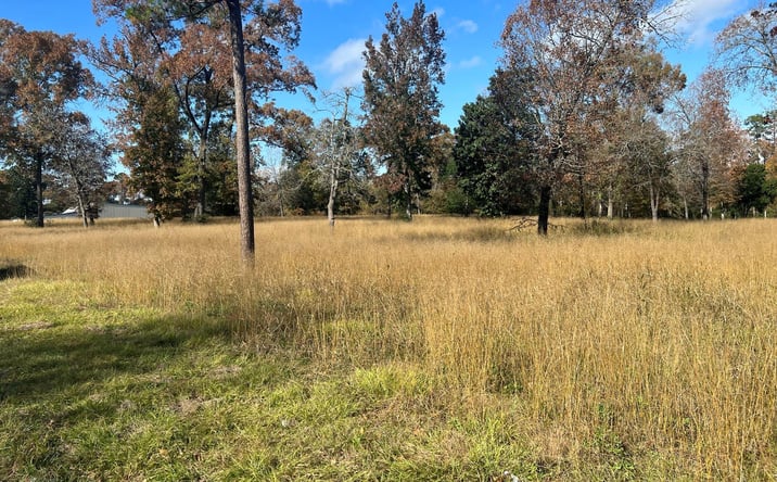 Pictures of Land property located at TBD S Houston Avenue, Livingston, TX 77351 for sales - image #1