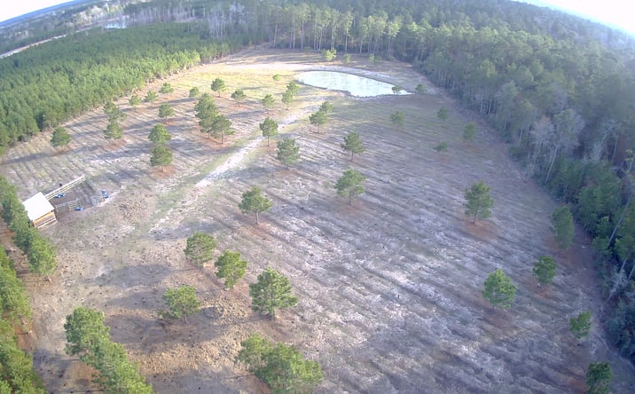 Pictures of Land property located at TBD Upper Leggett Road, Leggett, TX 77350 for sales - image #1