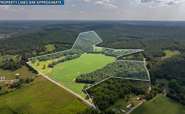 Pictures of Land property located at Allegre Rd, Elkton, KY 42220 for sales - image #1