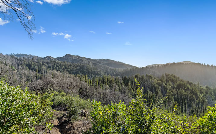 Pictures of Land property located at 21200 Big Basin Wy, Boulder Creek, CA 95006 for sales - image #1