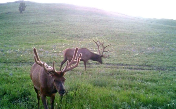 Pictures of Land property located at TBD Indian Creek Road, TOWNSEND, MT 59644 for sales - image #1