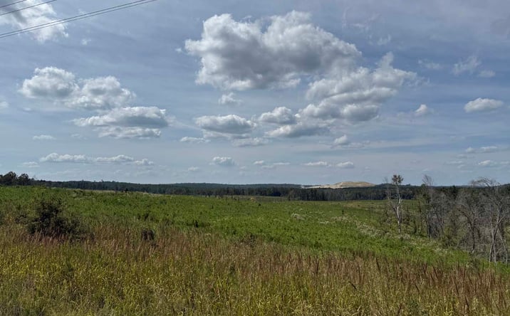 Pictures of Land property located at Myricks Mill Rd, Jeffersonville, GA 31044 for sales - image #1