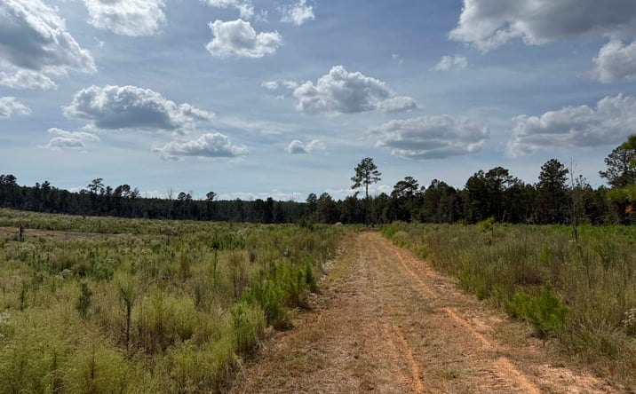 Pictures of Land property located at Myricks Mill Road, Jeffersonville, GA 31044 for sales - image #1