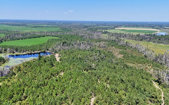Pictures of Land property located at Rhonda Coleman Rd, Hazlehurst, GA 31539 for sales - image #1