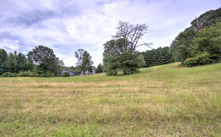 Pictures of Land property located at Polk Lane, Dallas, GA 30132 for sales - image #1