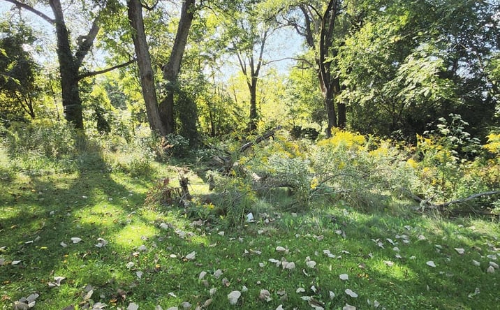 Pictures of Land property located at 756 Franklin Street, Valparaiso, IN 46383 for sales - image #1