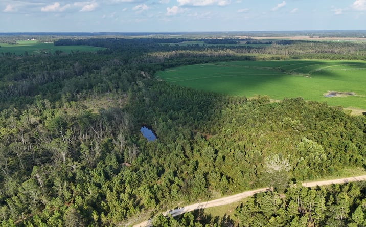 Pictures of Land property located at 0 Rhonda Coleman Rd, Hazlehurst, GA 31539 for sales - image #1
