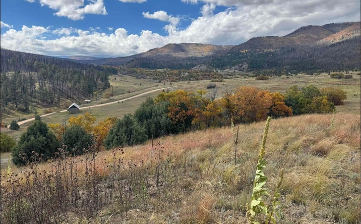 Pictures of Land property located at 21.745 Los Alamitos Road, Chacon, NM 87713 for sales - image #1
