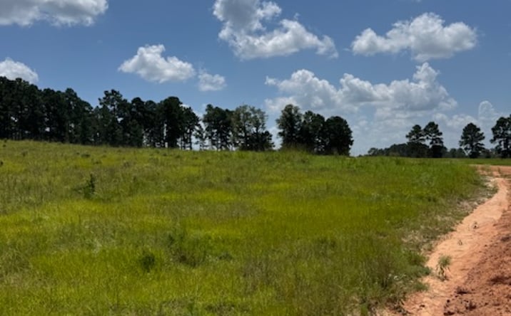 Pictures of Land property located at TBD Madison Lake Loop, Hillister, TX 75979 for sales - image #1