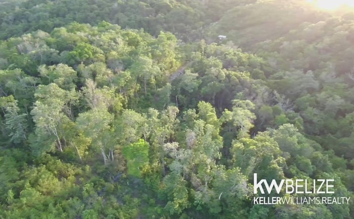 Pictures of Land property located at Jungle Lots Negroman Area, Belize, Belize 00000 for sales - image #1