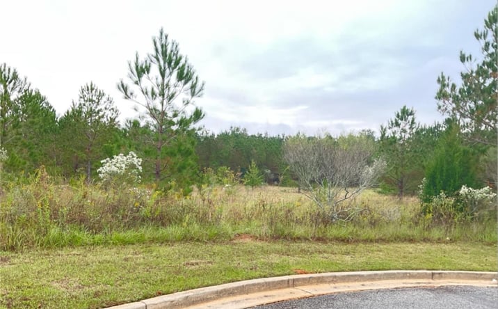 Pictures of Land property located at US HWY 41 Osigian Blvd, Warner Robins, GA 31088 for sales - image #1