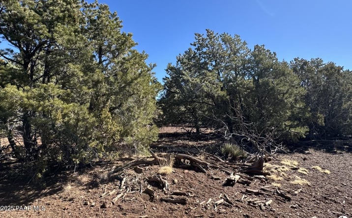 Pictures of Land, Multifamily property located at 3264 N Marilyn Way, Williams, AZ 86046 for sales - image #1