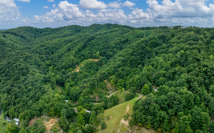 Pictures of Land property located at TBD Ash Hopper Hollow, Erwin, TN 37650 for sales - image #1