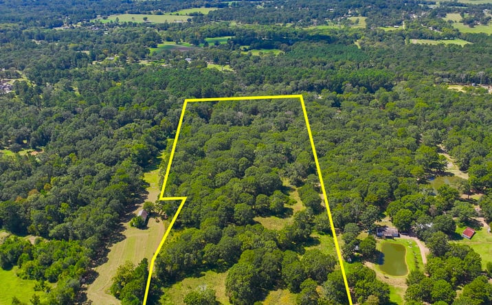 Pictures of Land property located at 1 Mt Zion Rd, New Waverly, TX 77358 for sales - image #1