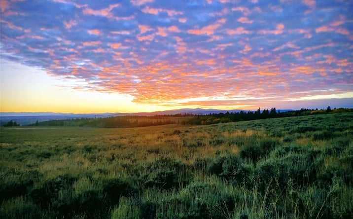 Pictures of Land property located at TBD Monarch Lane, Powderhorn, CO 81243 for sales - image #1
