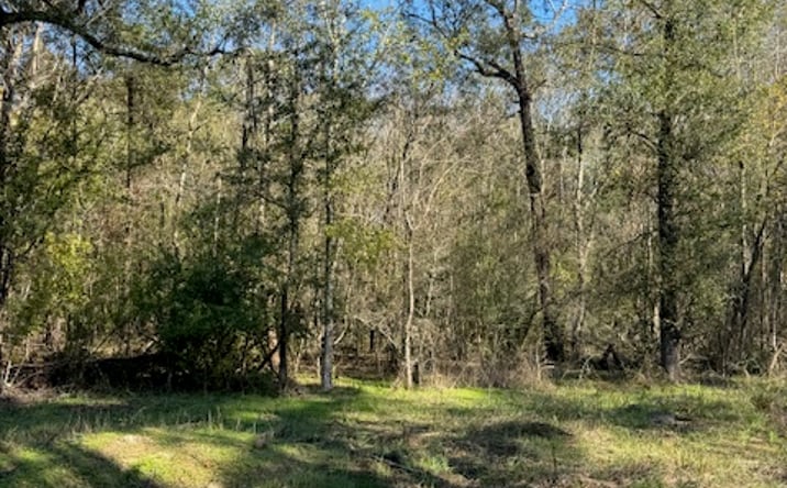 Pictures of Land property located at 412 Cherokee Forest Lane, Livingston, TX 77351 for sales - image #1